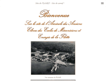 Tablet Screenshot of aemef.fr